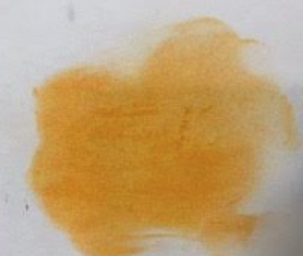 Νο. 197 - ξηρό παστέλ l'ecu Sennelier Cadmium Yellow Orange